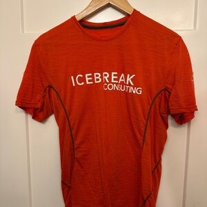 Icebreaker Merino Wool Shirt Tee